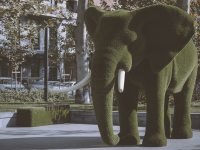 ARCHITETTURA e URBANISTICA