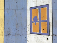 Pianificazione Urbanistica