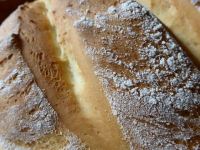 Lievitati Dolci e Salati & Prodotti da Forno