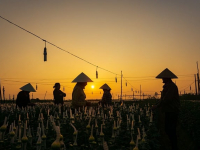 Les Bonnes Pratiques de L\'agriculture