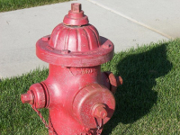 PREVENZIONE delle MALATTIE