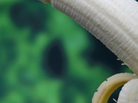 Medicina e Prevenzione