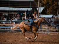 STORIA DELL\'AGRICOLTURA