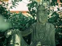 Meditazioni Guidate per Sviluppare la Spiritualità