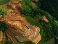 Agricoltura Conservativa in Lombardia