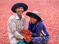 Agricoltura Rigenerativa