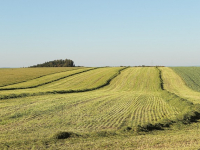 Per L\'Agricoltura Professionale