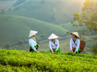 Agricoltura e Allevamento