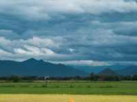 Agricoltura Sostenibile e Cibo Senza Veleni