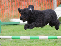 Adopter une Approche Agile