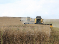 ALLEVAMENTO OPPIS: un MARCHIO di GARANZIA