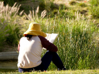 Matematica - Prima Superiore