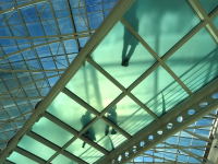 I Corsi di Magnews Hub