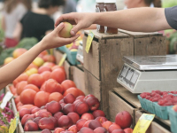 CRM e Marketing - Incontri Digitali