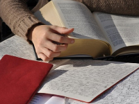 REVIT BIM - Videocorso in ITALIANO