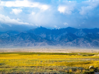 Allevamento Black Soldier Fly