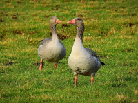 Stampa 3D Prototipazione
