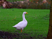 Prototipazione Rapida & Service Stampa 3D