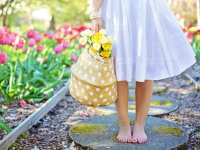 Corsi Singoli - Accademia Sol