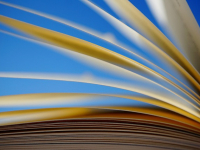 Les Algorithmes Darija