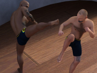 Rompimientos con Técnicas Marciales