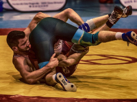 Karate-do Kyohan the Master Text en ESPAÑOL