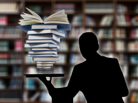 Delitos Contra la Administración Pública