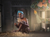 Acabados para Madera Tekwood