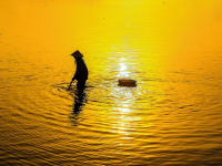 Bambu Construcciones y Acabados