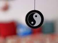 Corso Avanzato di Agopuntura