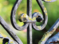 Workshop di Artigianato Artistico