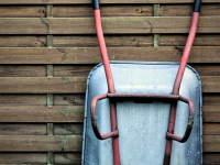 Corso di Giardinaggio per Principianti