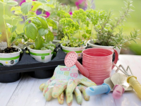 Giardinaggio Urbano: Come Coltivare un Giardino in Spazi Ridotti