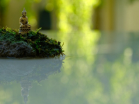 Buddhismo Tibetano: Tantra e Meditazione