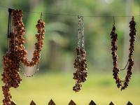 Guarigione Spirituale secondo le Tradizioni Indigene