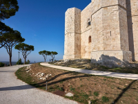 Le Delizie della Cucina Messicana