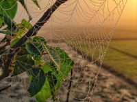 Corso Completo di Sviluppo Web Full-Stack