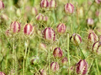 Introduzione alla Programmazione Java per Android