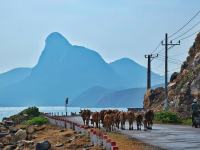 Corso di Sviluppo di App Cross-platform con Flutter