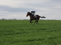 Corso di Automazione con Ansible per Principianti