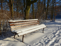 Corso Pratico su MongoDB e MongoDB Compass