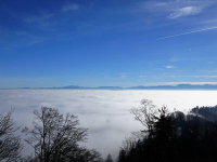 Corso pratico di sviluppo di API con PHP e Laravel