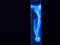 Corso Base sui Test Automatizzati