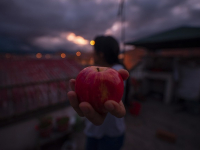 Design di Interfacce con Angular Material