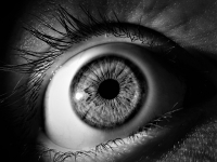 Deep Learning per la Computer Vision