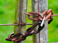 Sviluppo di Applicazioni Web in Rust