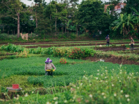 Corso di Introduzione ai Droni Agricoli