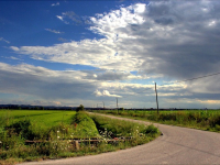 Corso avanzato di topografia agricola