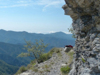 Corso di manutenzione meccanica per macchine agricole