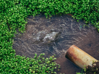 Corso avanzato di gestione dell\'irrigazione nei sistemi agricoli